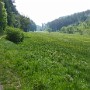 P1020433.JPG
