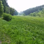 P1020433