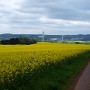 P5182281.JPG