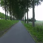 P1010545