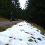 P1161781.JPG