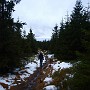 P1161790.JPG
