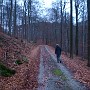 P1161791.JPG
