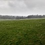IMG_20180317_130123360_HDR.jpg