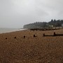 IMG_20190322_151945948.jpg