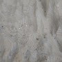 IMG_20190322_153339623.jpg