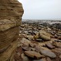 IMG_20190322_160000130.jpg