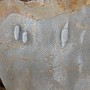 IMG_20190322_163043775.jpg