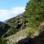 P1010845.JPG