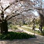 104_0068.JPG