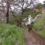 IM001382