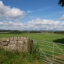 P1010815.JPG