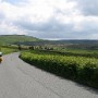 LandsEnd021_-_IMG_2760.JPG
