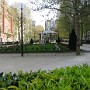 IMG_2629.JPG