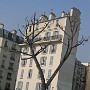 IMG_2640.JPG