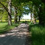 P1020169.JPG