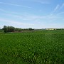 P1020183.JPG