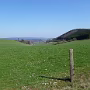 P1010988