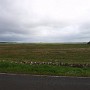 P6182081.JPG