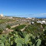 P1010261.JPG