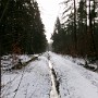 104_0013.JPG