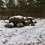 104_0035.JPG