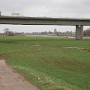 P1000220.JPG