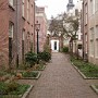 P1000225.JPG
